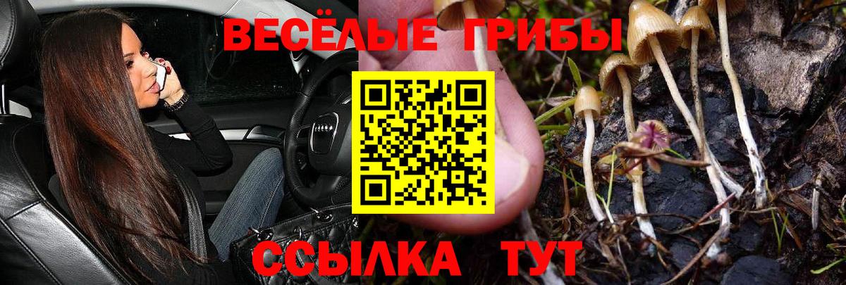 Урай  Галлюциногенные грибы MAGIC MUSHROOMS  Вход с VPN  Галлюциногенные грибы MAGIC MUSHROOMS 